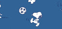 Summit Water Bottle with Straw Lid